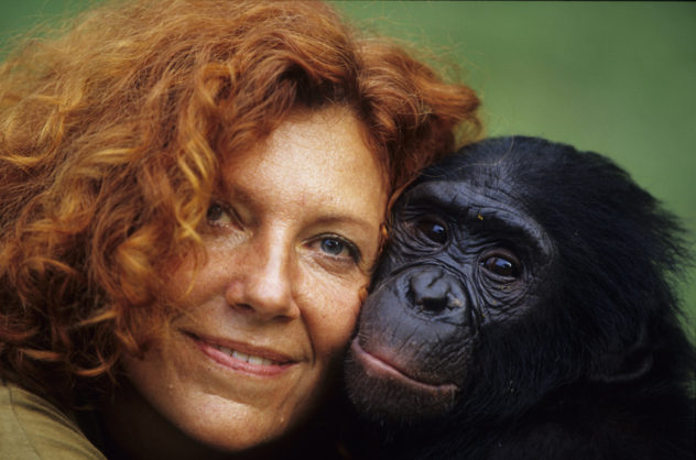 Claudine André with bonobo rescue